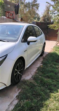 تۆیۆتا کۆرۆلا